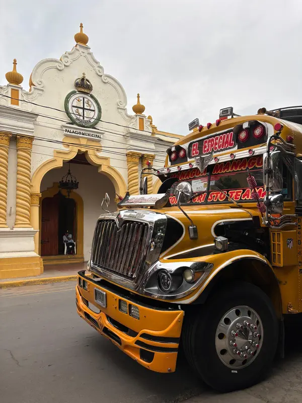 Parrot bus VS chicken bus